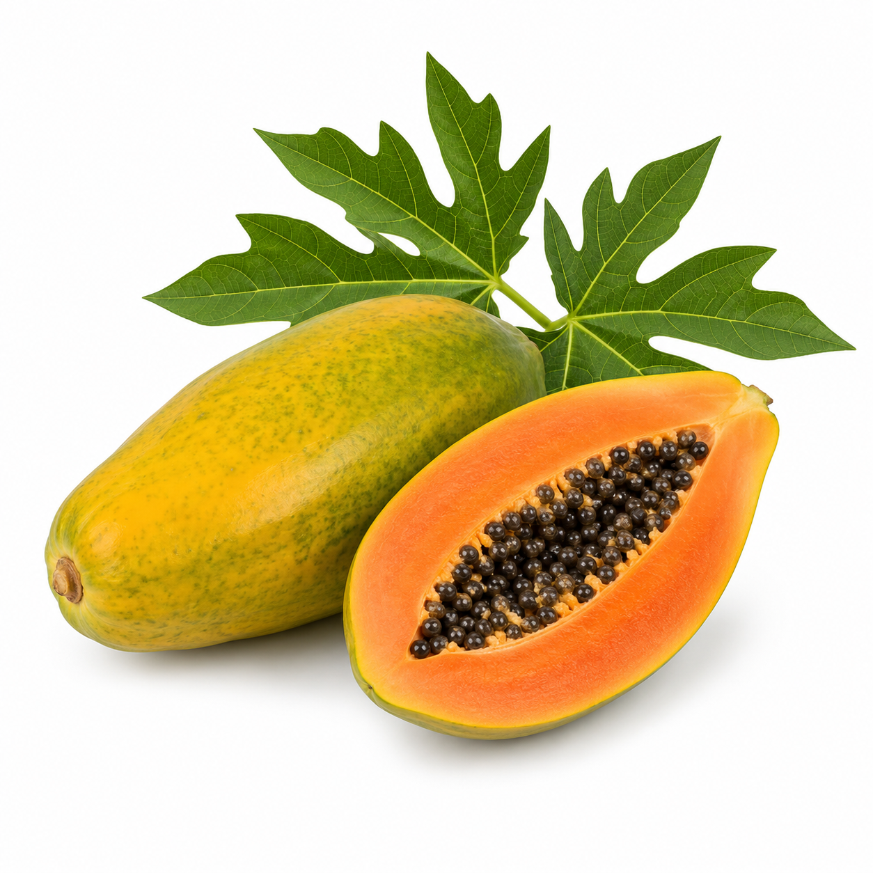 plain photo of papaya shown in a white background